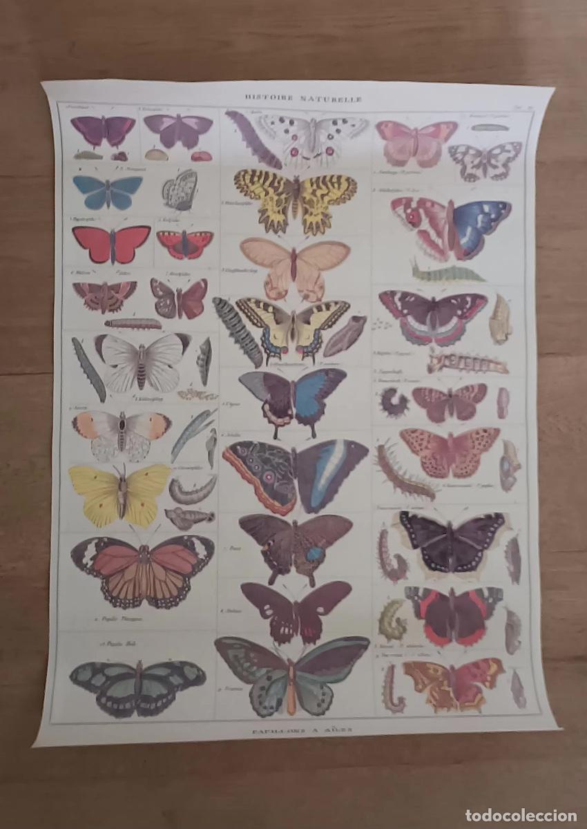 Carteles: Caf&eacute; de especialidad. Colecci&oacute;n de 8 P&oacute;sters - Foto 2
