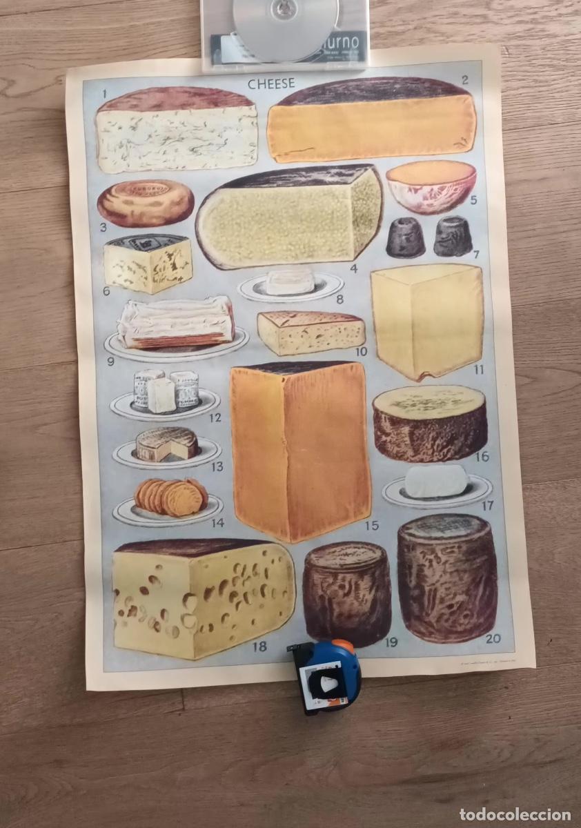 Carteles: Caf&eacute; de especialidad. Colecci&oacute;n de 8 P&oacute;sters - Foto 5