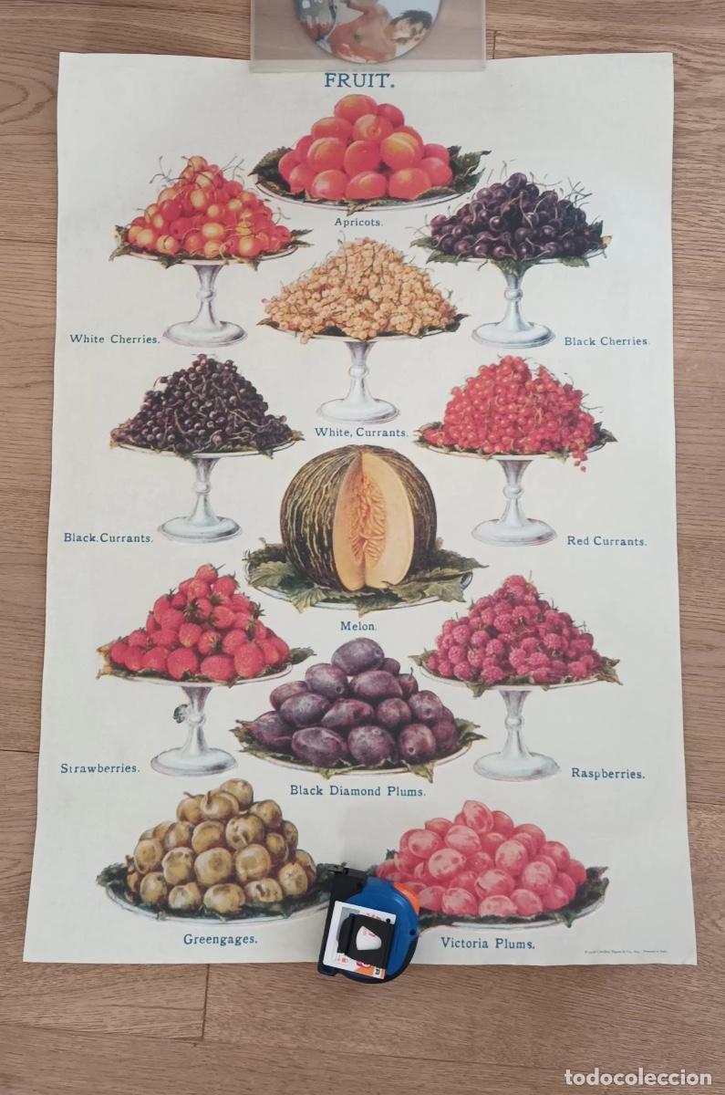 Carteles: Caf&eacute; de especialidad. Colecci&oacute;n de 8 P&oacute;sters - Foto 6