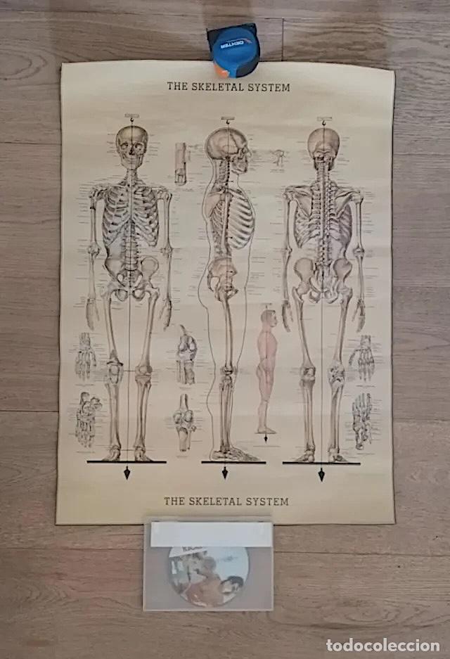 Carteles: Caf&eacute; de especialidad. Colecci&oacute;n de 8 P&oacute;sters - Foto 8