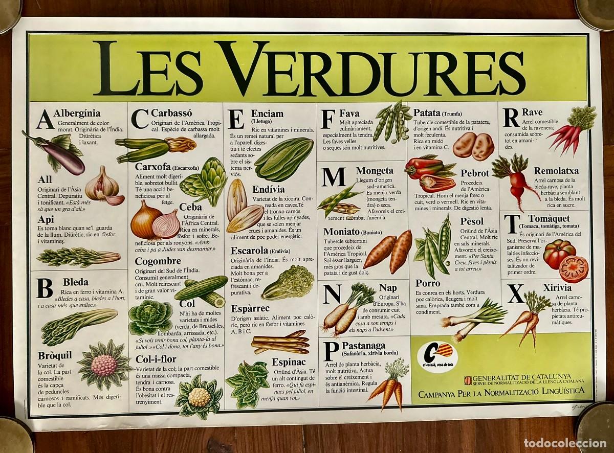 Cartazes: LES VERDURES - CARTELL CAMPANYA DE NORMALITZACI&Oacute; LING&Uuml;&Iacute;STICA DEL CATAL&Agrave; 43 x 62 cm - 1994