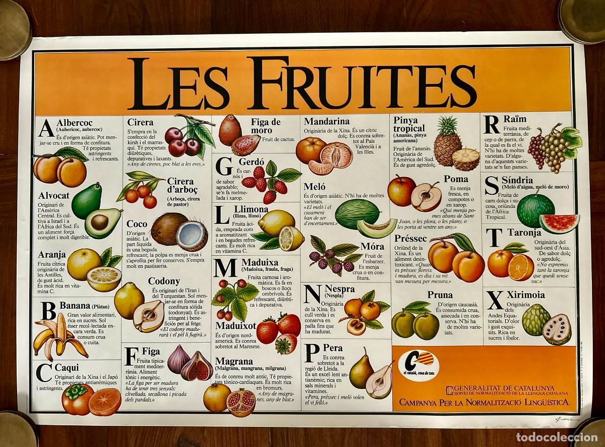 Cartazes: LES FRUITES - CARTELL CAMPANYA DE NORMALITZACI&Oacute; LING&Uuml;&Iacute;STICA DEL CATAL&Agrave; 43 x 62 cm - 1990