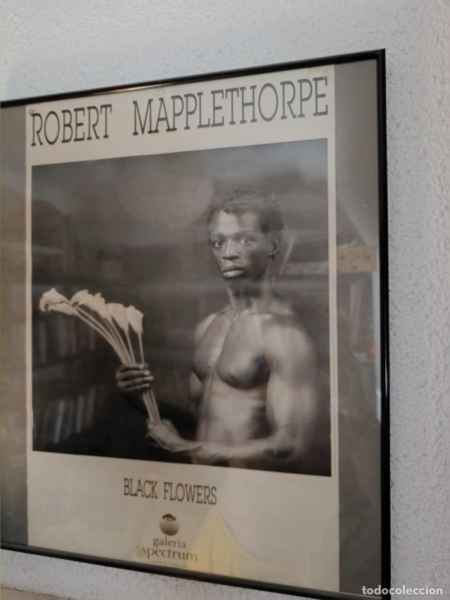 Carteles: Cartel Robert Mapplehorpe 'Black Flowers' (Galer&iacute;a Spectrum)
