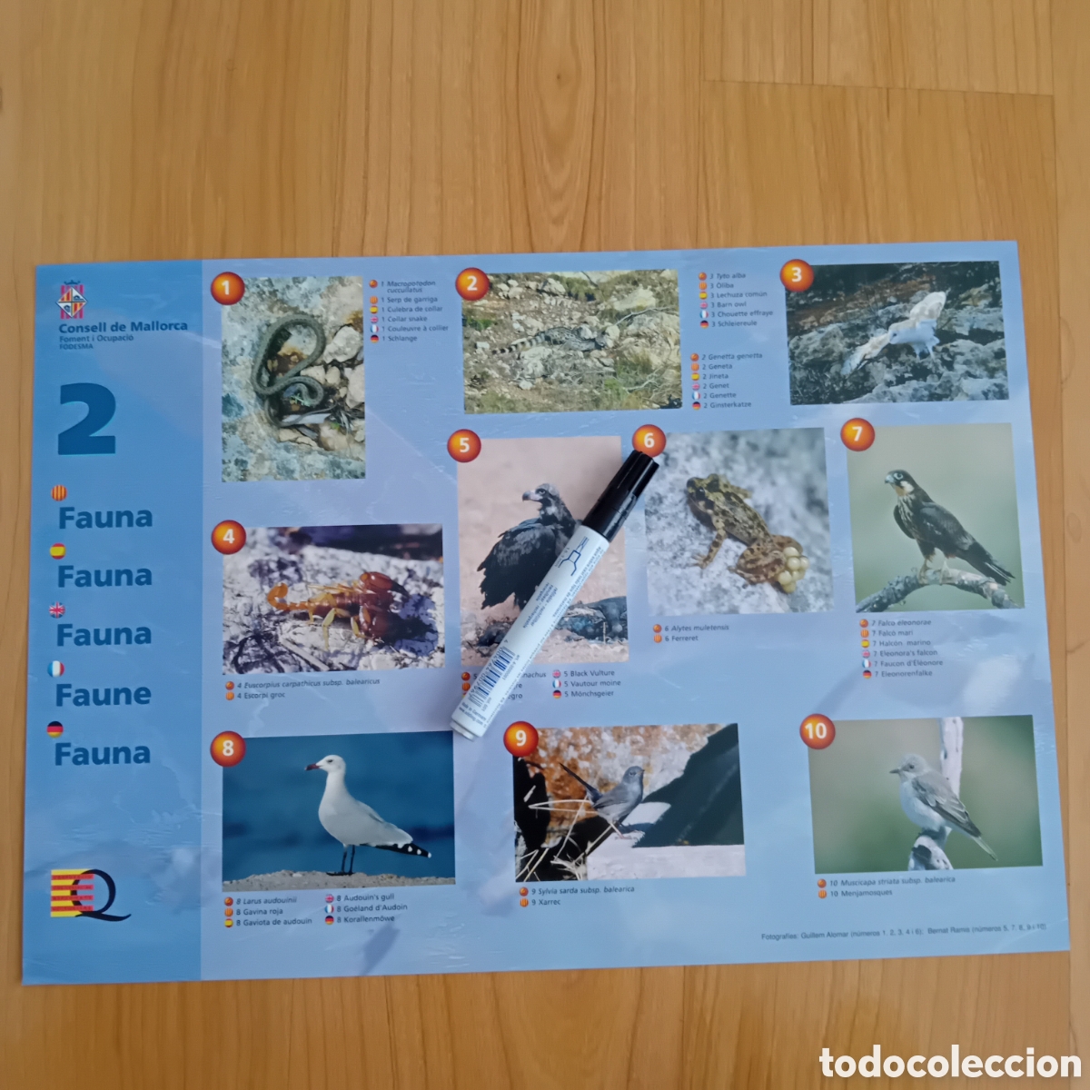 Carteles: CARTEL A3 FLORA Y FAUNA DE MALLORCA. EDITADO POR FODESMA. 1999