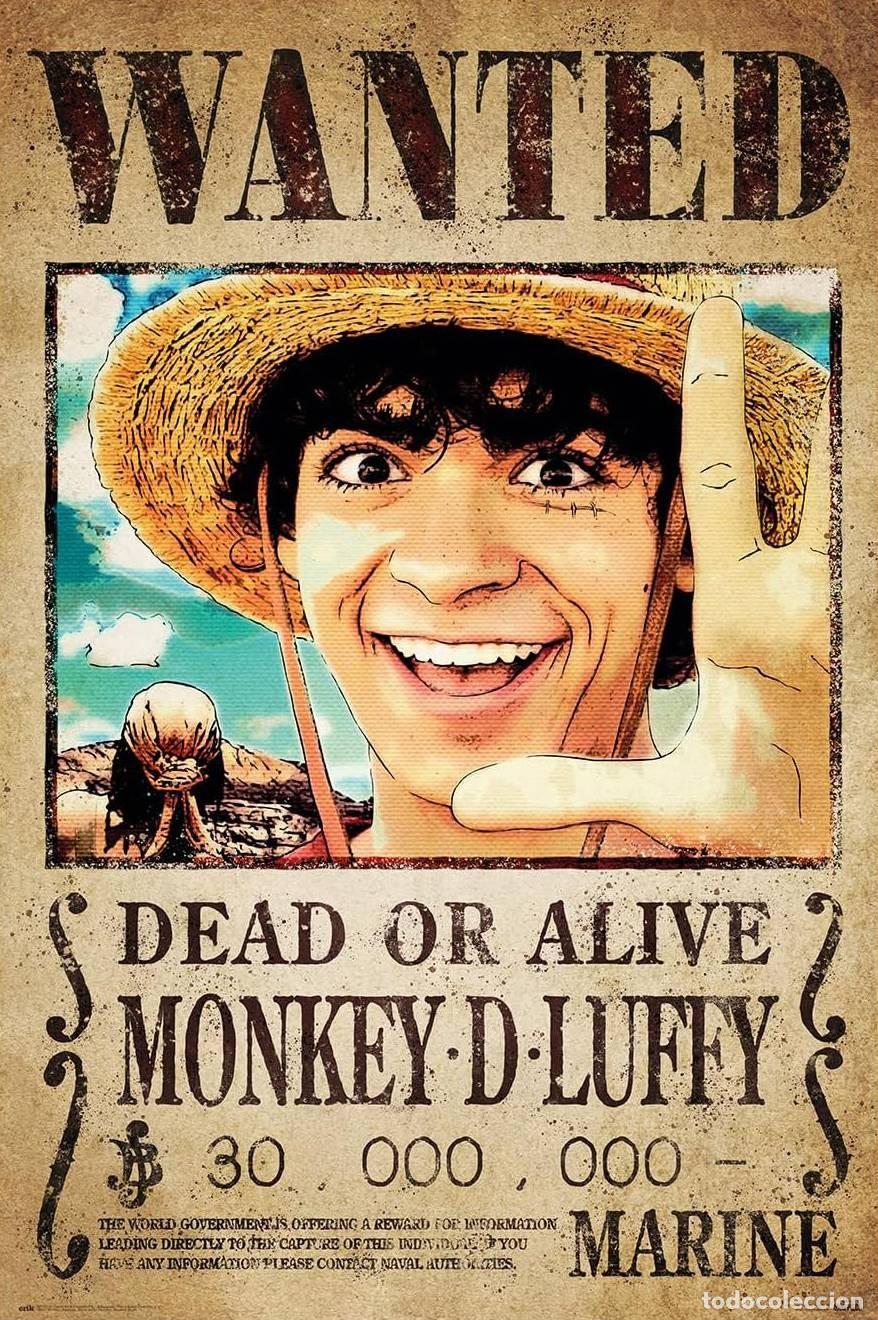 Posters: Poster Wanted Monkey D. Luffy - One Piece (POSTER 61x91.5)