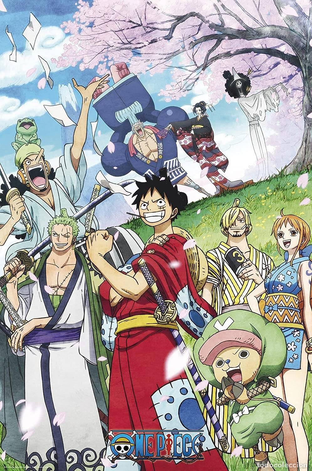 Carteles: Poster Wano - One Piece (POSTER 91,5 x 61)