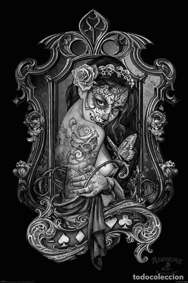 Affiches: Poster Alquimia Paracelco - Viudas Maleza(Alchemy Paracelcus - Widows weeds) (POSTER 61 x 91,5)