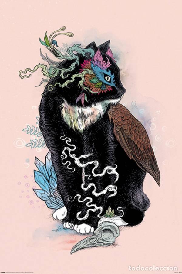 Affiches: Poster Mat Miller - Gato m&aacute;gico negro (Mat Miller - Black Magic) (POSTER 61 x 91,5)