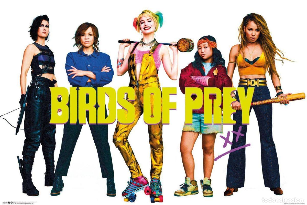 Affiches: Poster Birds of Prey - Group (POSTER 91,5 x 61)