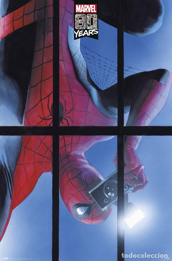 Carteles: Poster Marvel Spider-Man: 80 A&ntilde;os (POSTER 61 x 91,5)