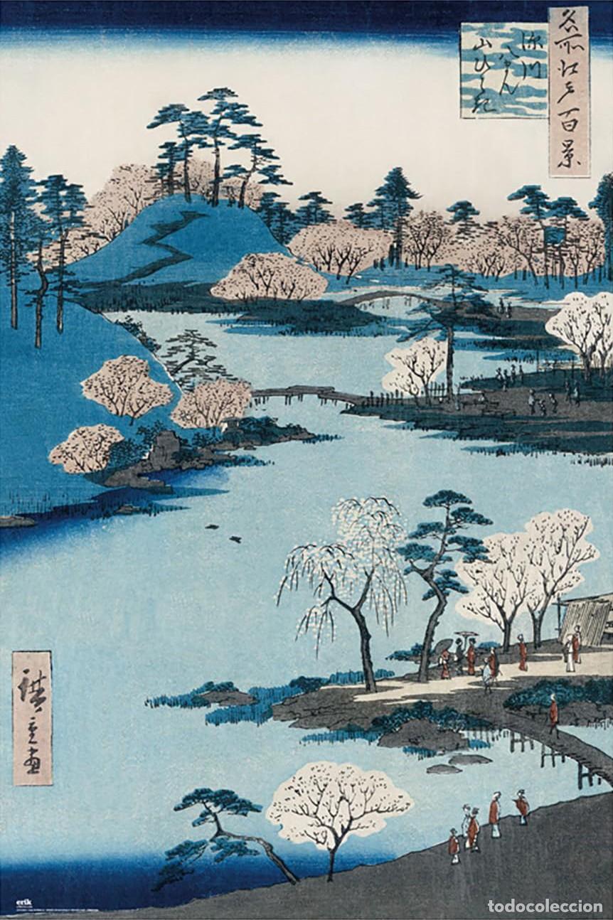 Carteles: Poster Flor de cerezo - Santuario de Hachiman (POSTER 61 x 91,5)
