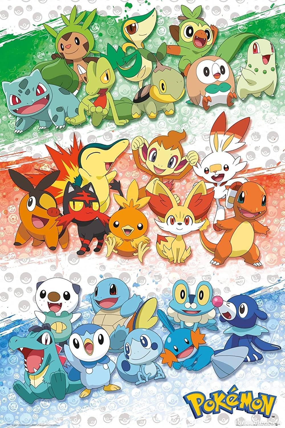 Affiches: Poster First Partners - Pokemon (POSTER 61x91.5)