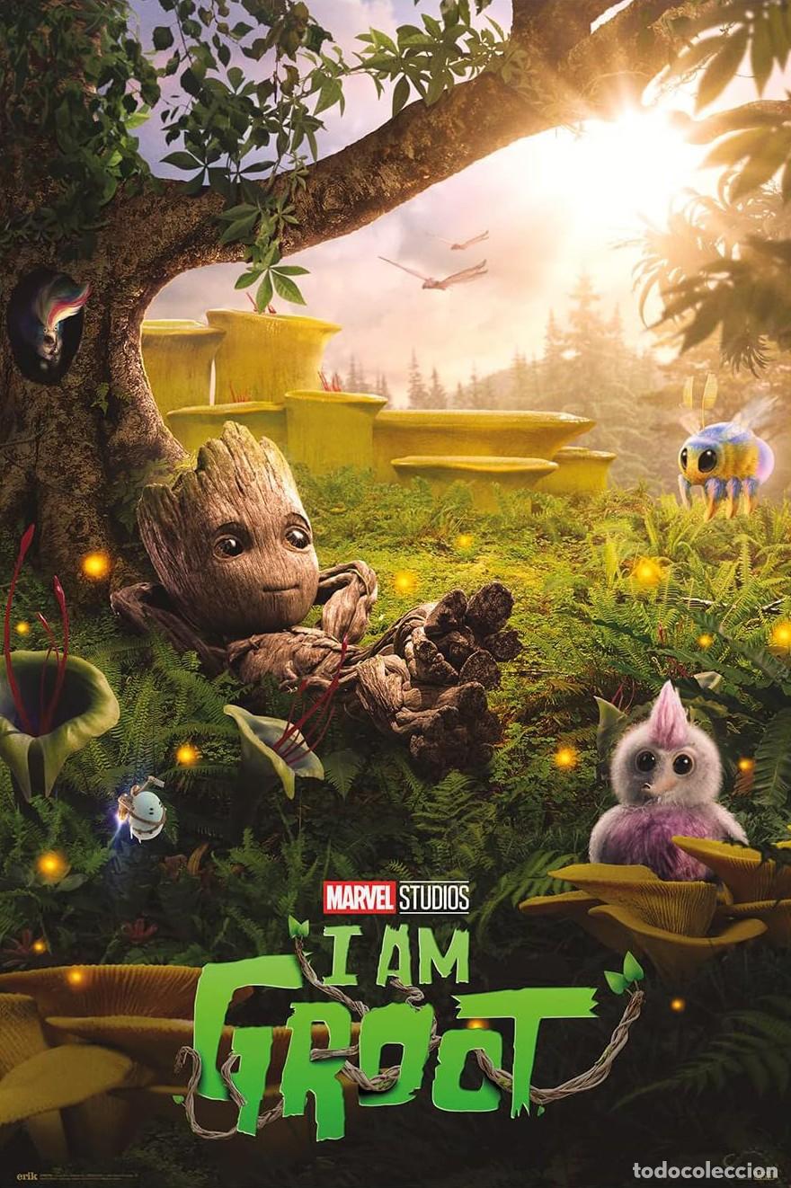 Affiches: Poster I am Groot - Marvel (POSTER 61 x 91,5)