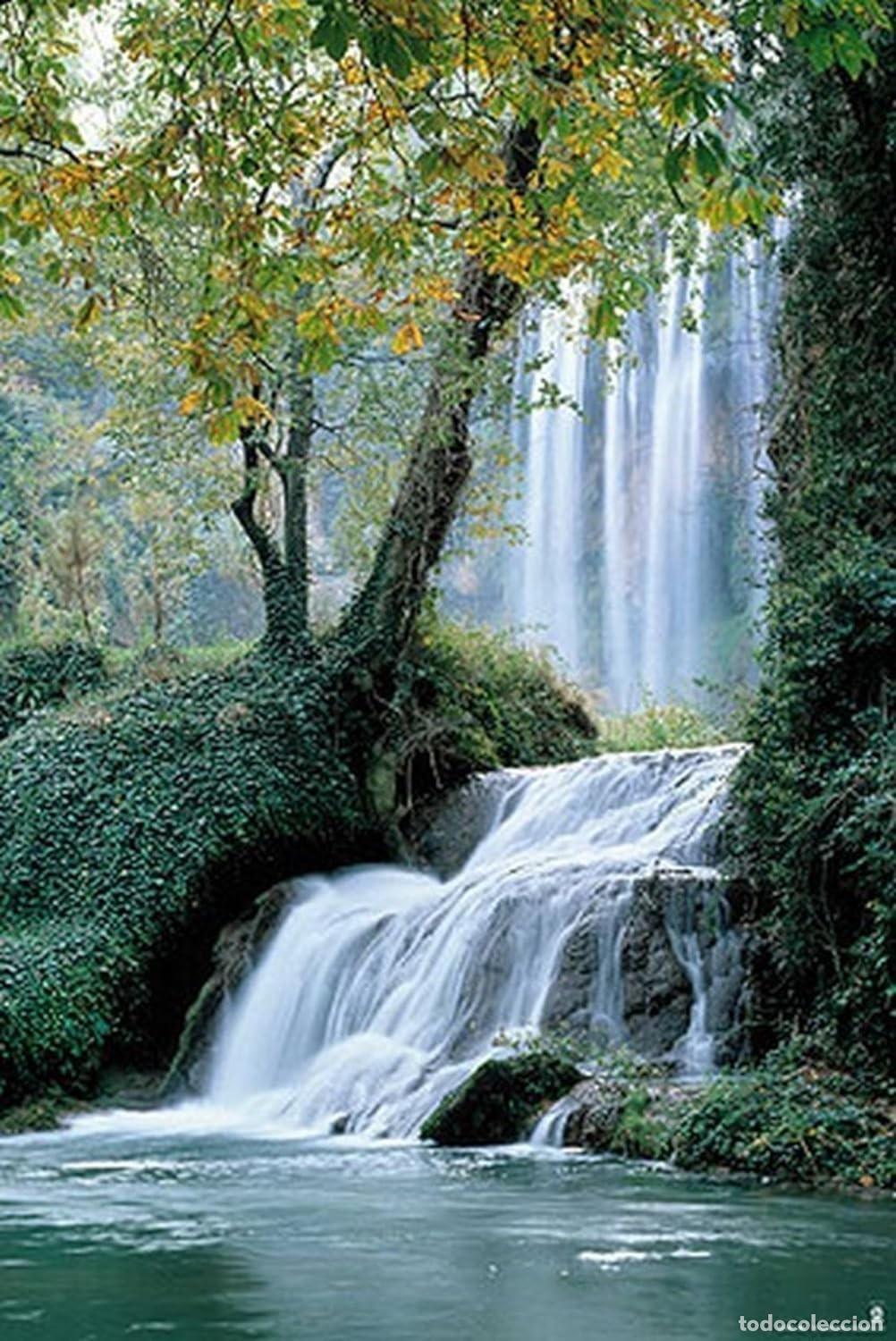 Affiches: Poster Cataratas - Monasterio De Piedra (POSTER 61 x 91,5)