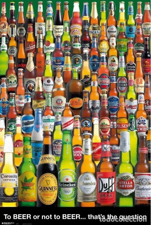 Plakate: Poster To Beer Or Not To Beer (POSTER 61 x 91,5)