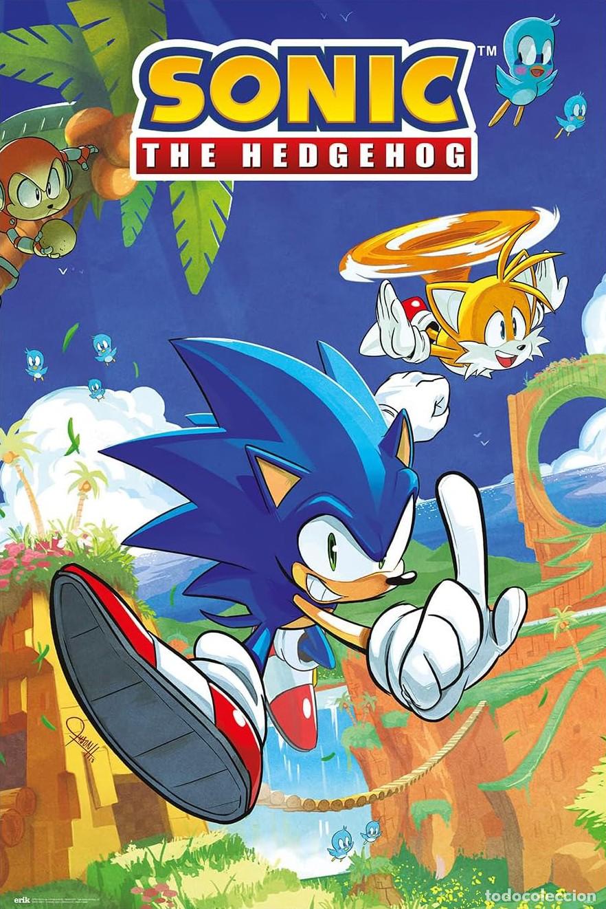 Plakate: Poster Sonic & Tail - Sonic The Hedgehog (POSTER 61 x 91,5)