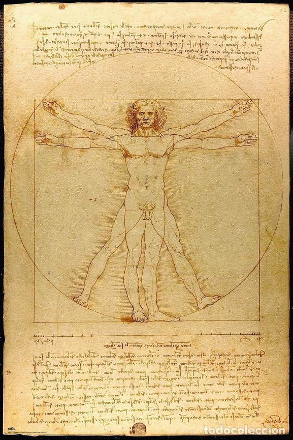 Carteles: Poster Hombre de Vitruvio - Leonardo da Vinci (POSTER 61 x 91,5)