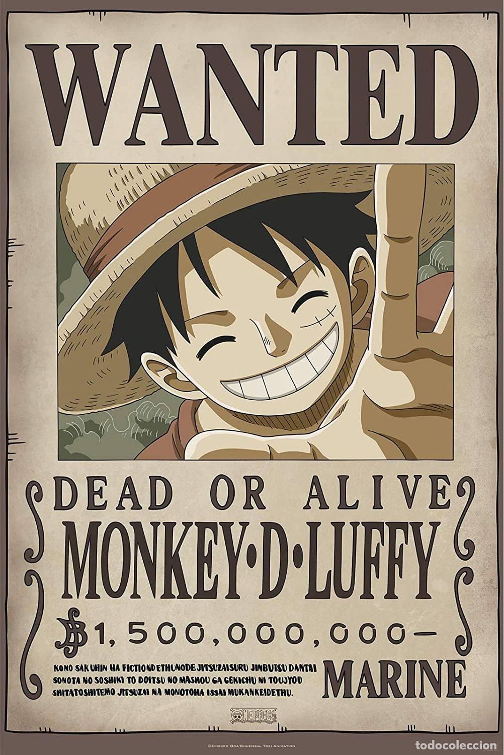 Carteles: Poster Wanted Luffy New 2 - One Piece (POSTER 91.5x61)