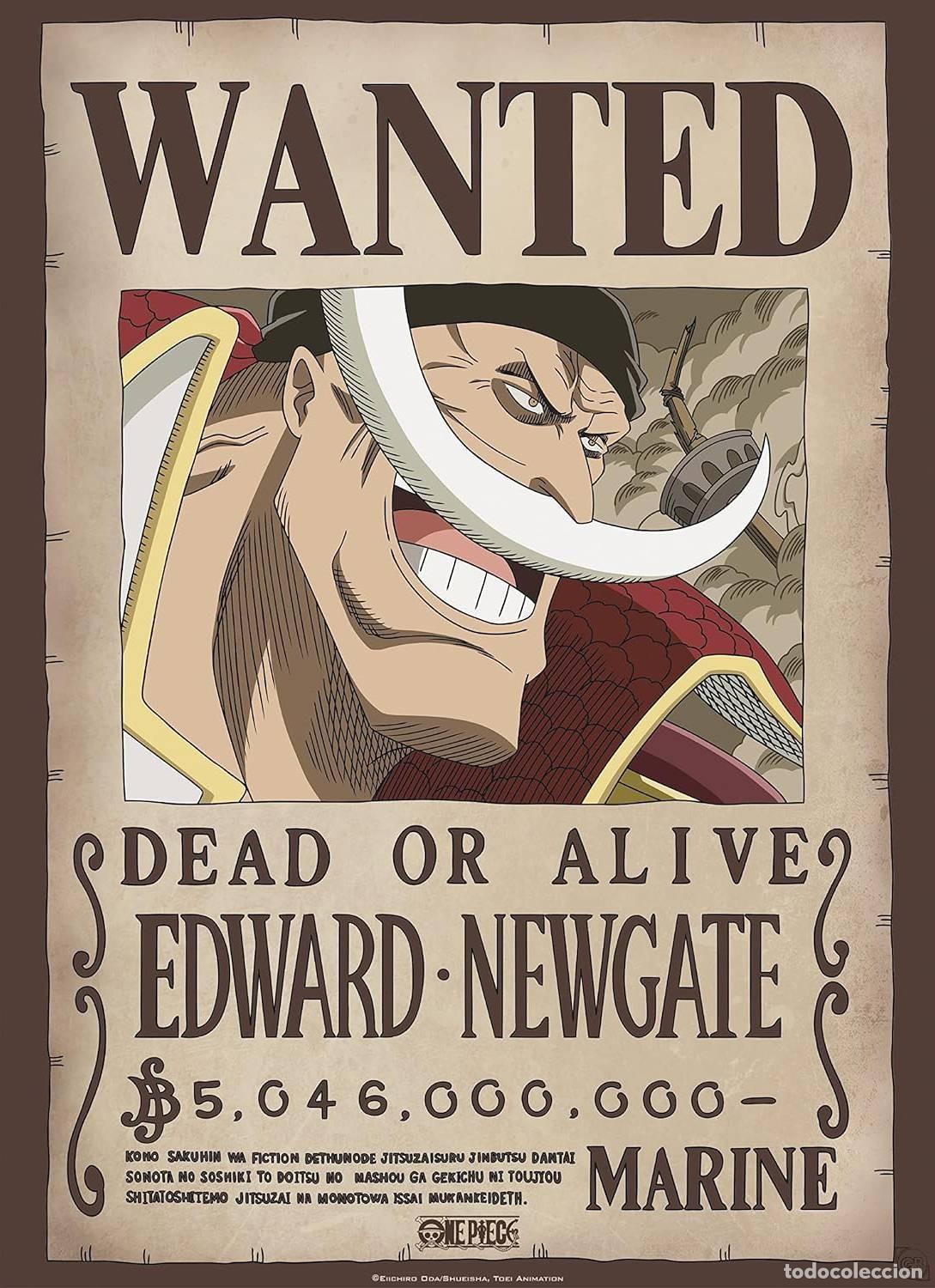 Carteles: Poster Wanted Edward Newgate - One Piece (POSTER 61 x 91,5)