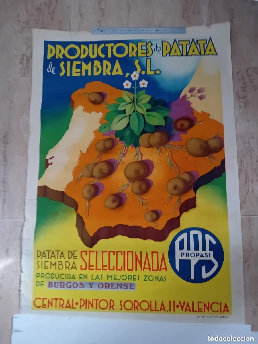 Plakate: Antiguo cartel patatas de siembra PROPASI S.L Burgos, Orense - Valencia 99x70 cm