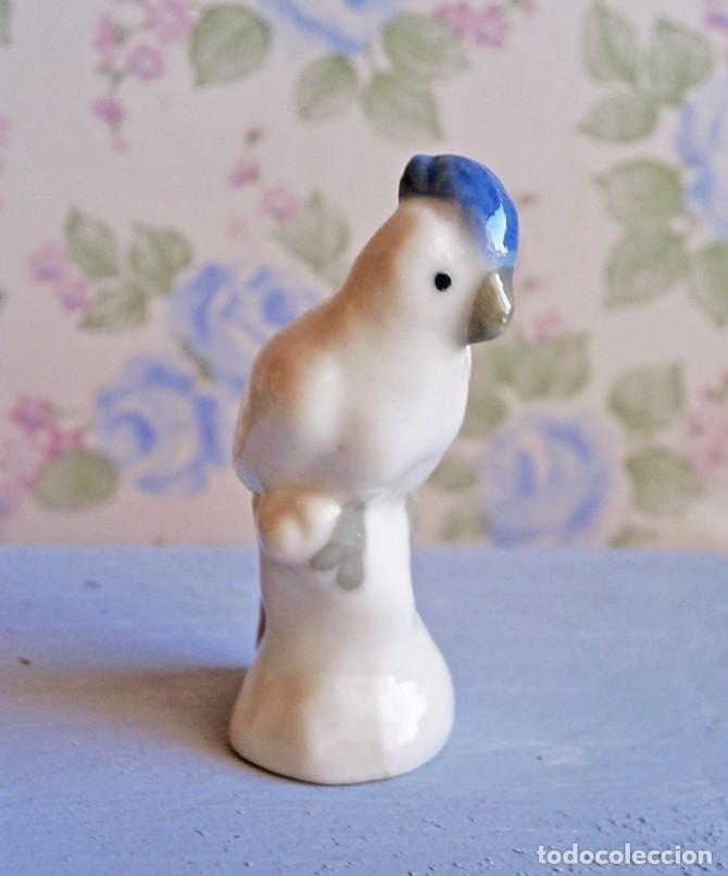 mini figura porcelana loro lorito ave casa muñe - Acquista Case delle  bambole, mobili e accessori su todocoleccion