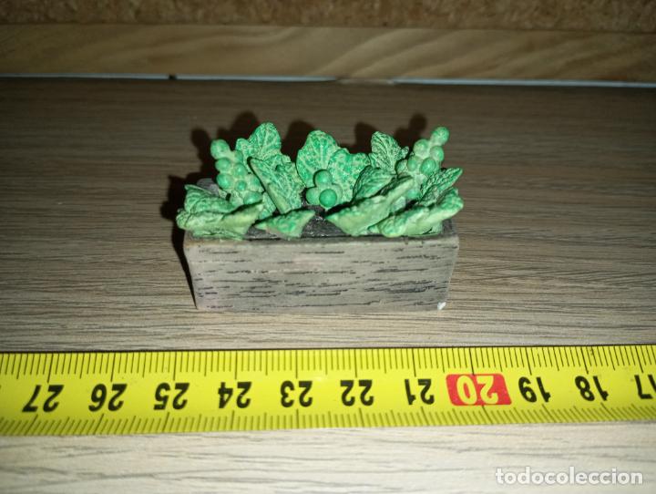 Casas de mu&ntilde;ecas: Mobiliario casa de mu&ntilde;ecas miniatura Maceta - Foto 1
