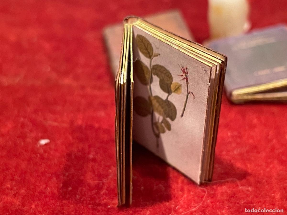 Casas de mu&ntilde;ecas: Tres libros de bot&aacute;nica en miniatura - Foto 2