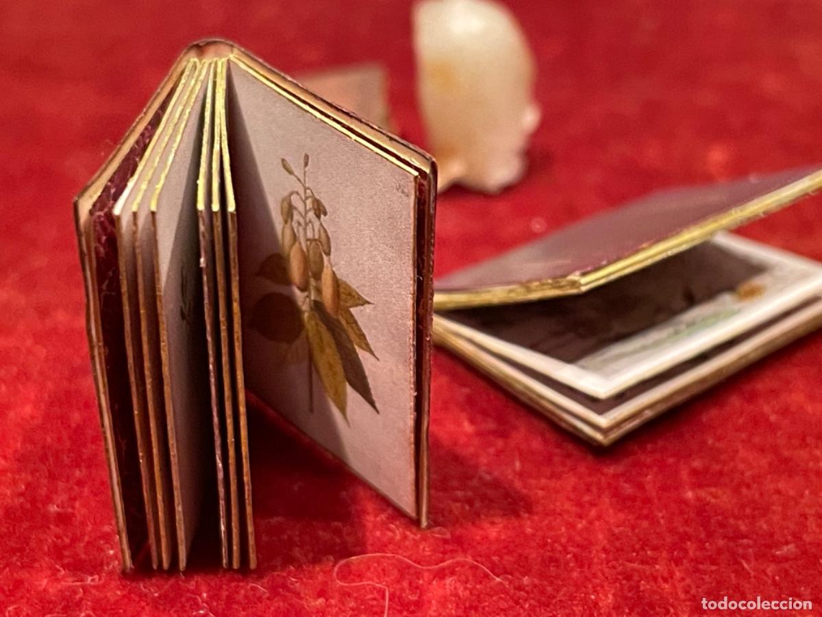Casas de mu&ntilde;ecas: Tres libros de bot&aacute;nica en miniatura - Foto 3
