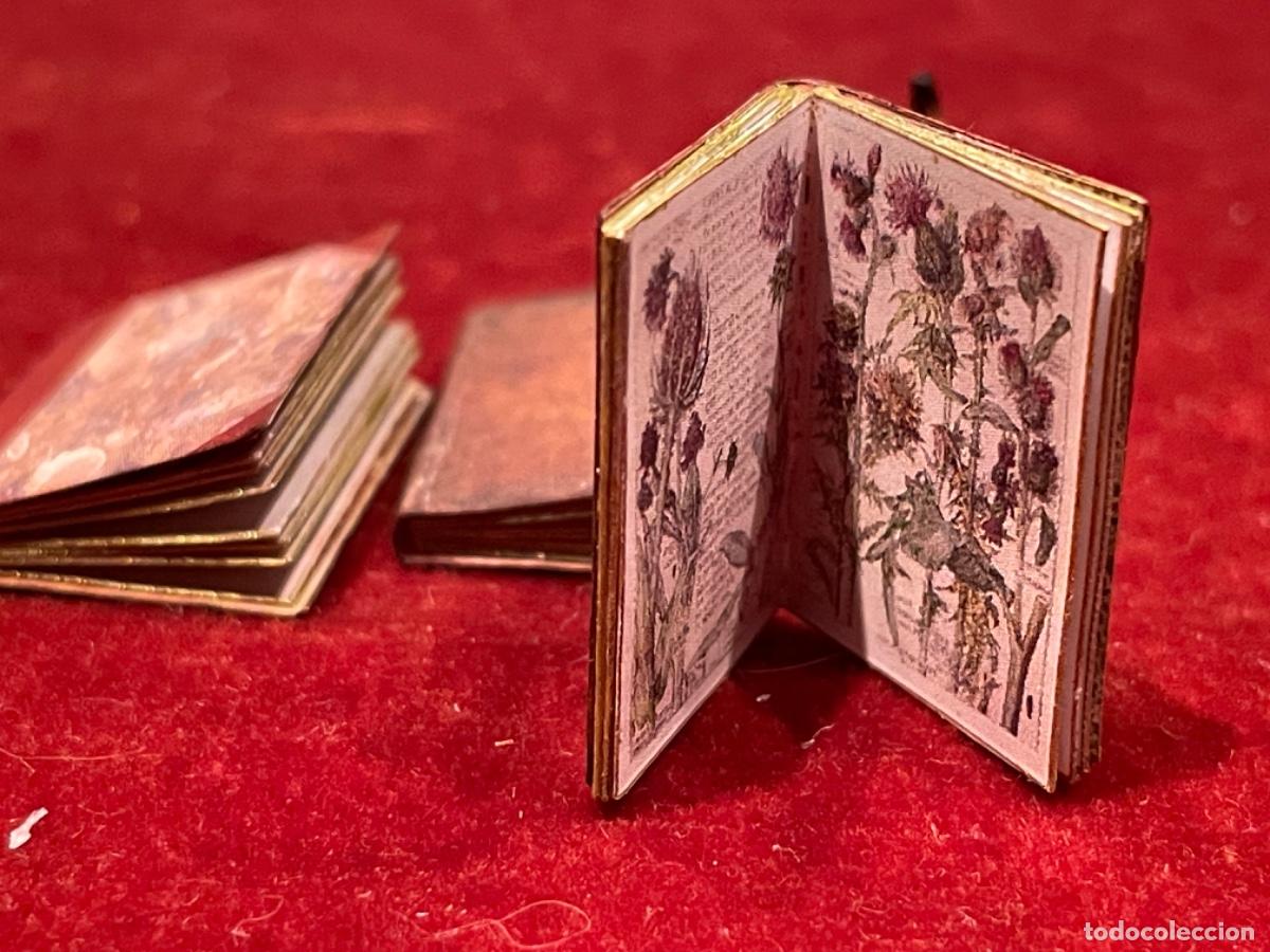 Casas de mu&ntilde;ecas: Tres libros de bot&aacute;nica en miniatura - Foto 4