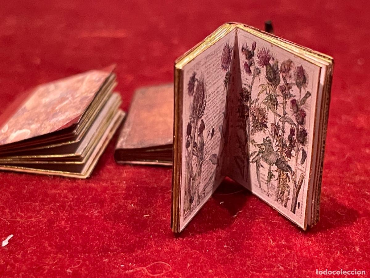 Casas de mu&ntilde;ecas: Tres libros de bot&aacute;nica en miniatura - Foto 5