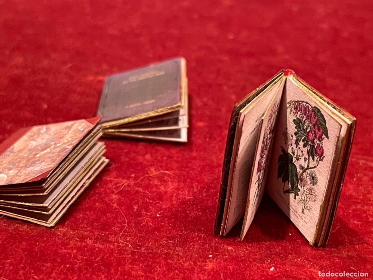 Casas de mu&ntilde;ecas: Tres libros de bot&aacute;nica en miniatura - Foto 6