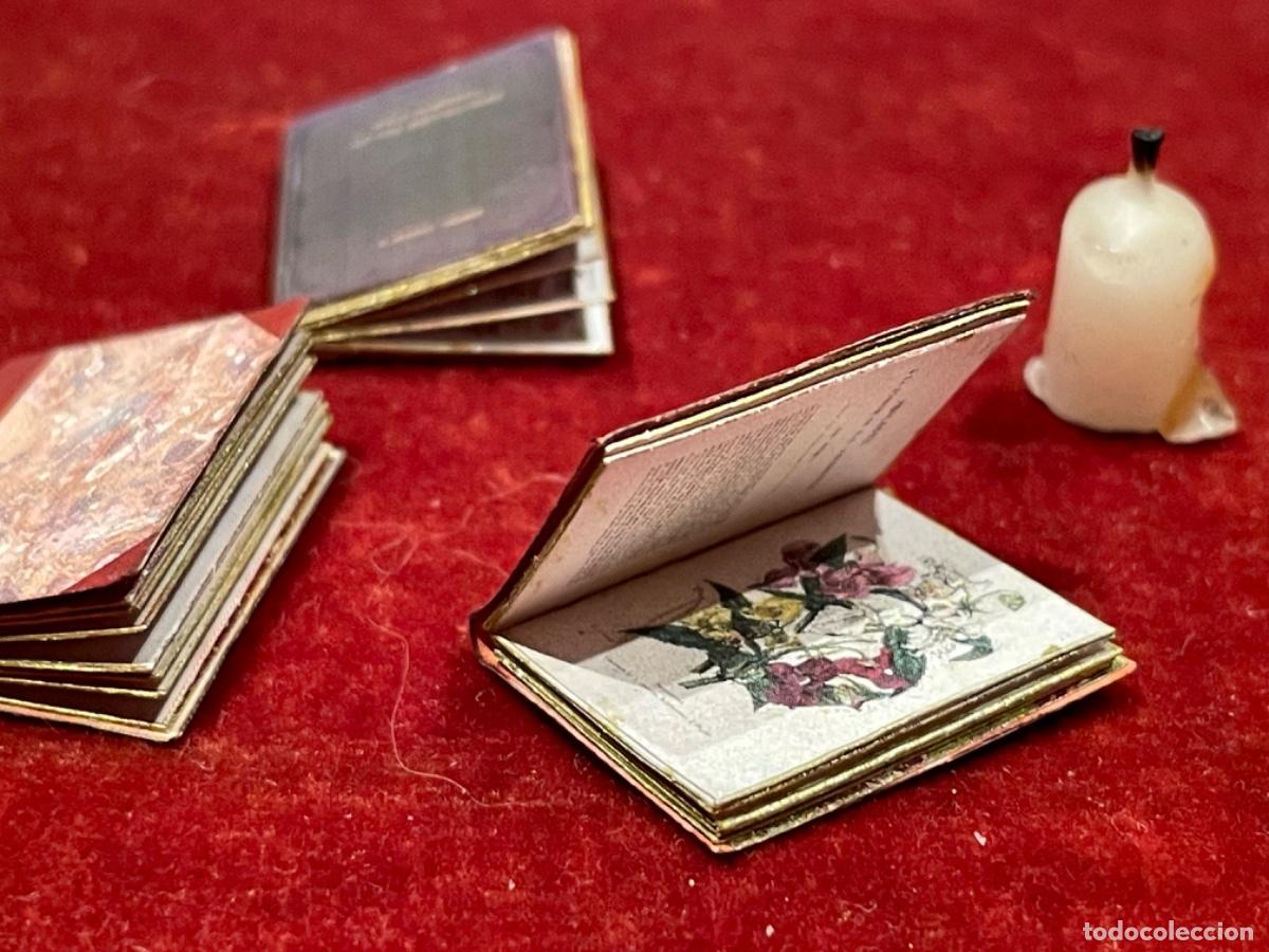 Casas de mu&ntilde;ecas: Tres libros de bot&aacute;nica en miniatura - Foto 7