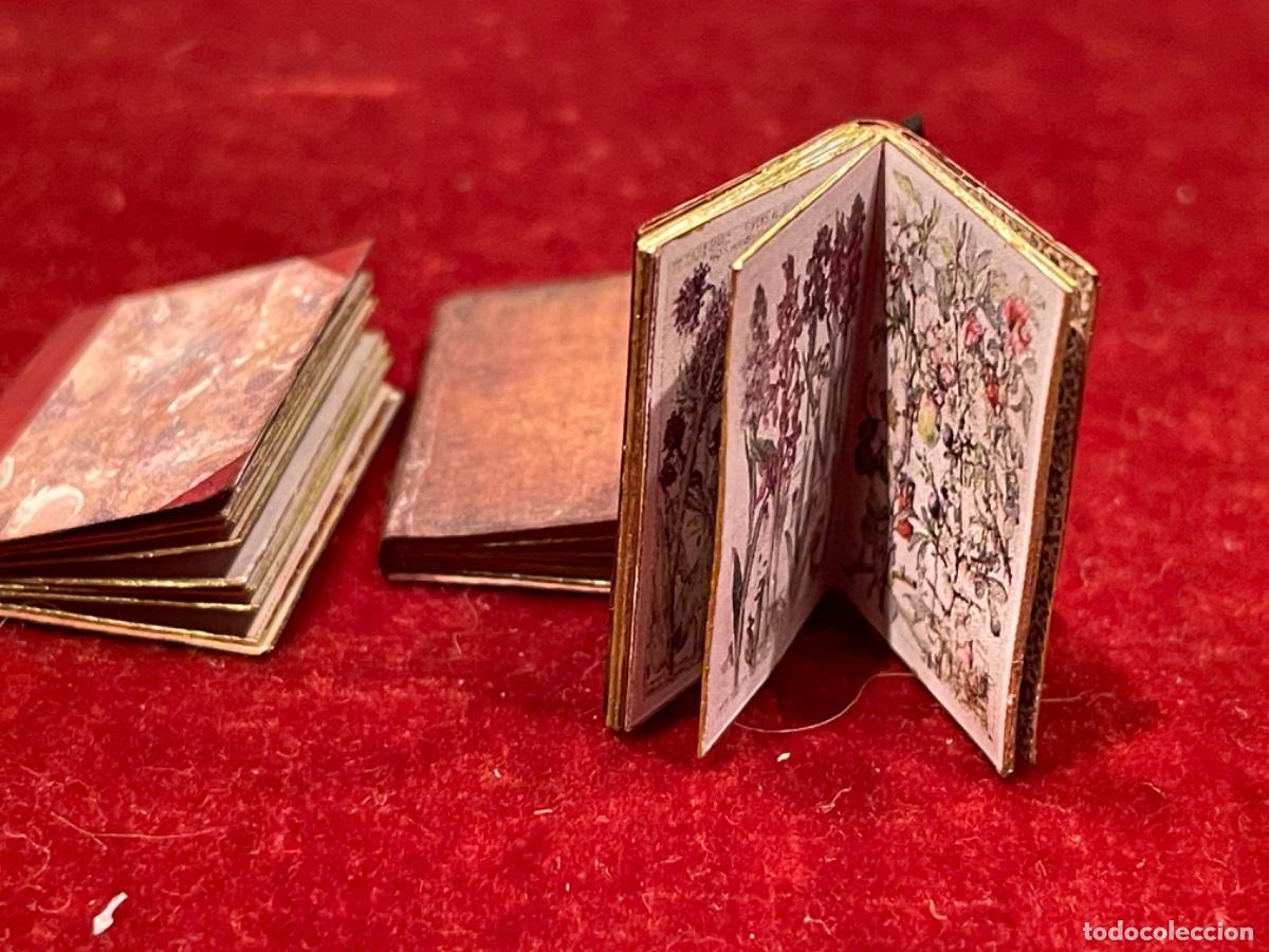 Casas de mu&ntilde;ecas: Tres libros de bot&aacute;nica en miniatura - Foto 8