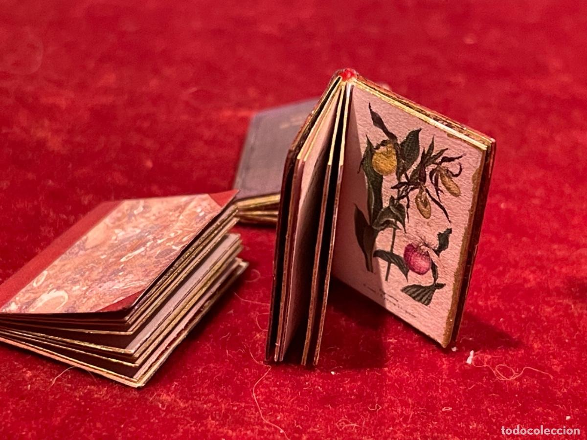 Casas de mu&ntilde;ecas: Tres libros de bot&aacute;nica en miniatura - Foto 9