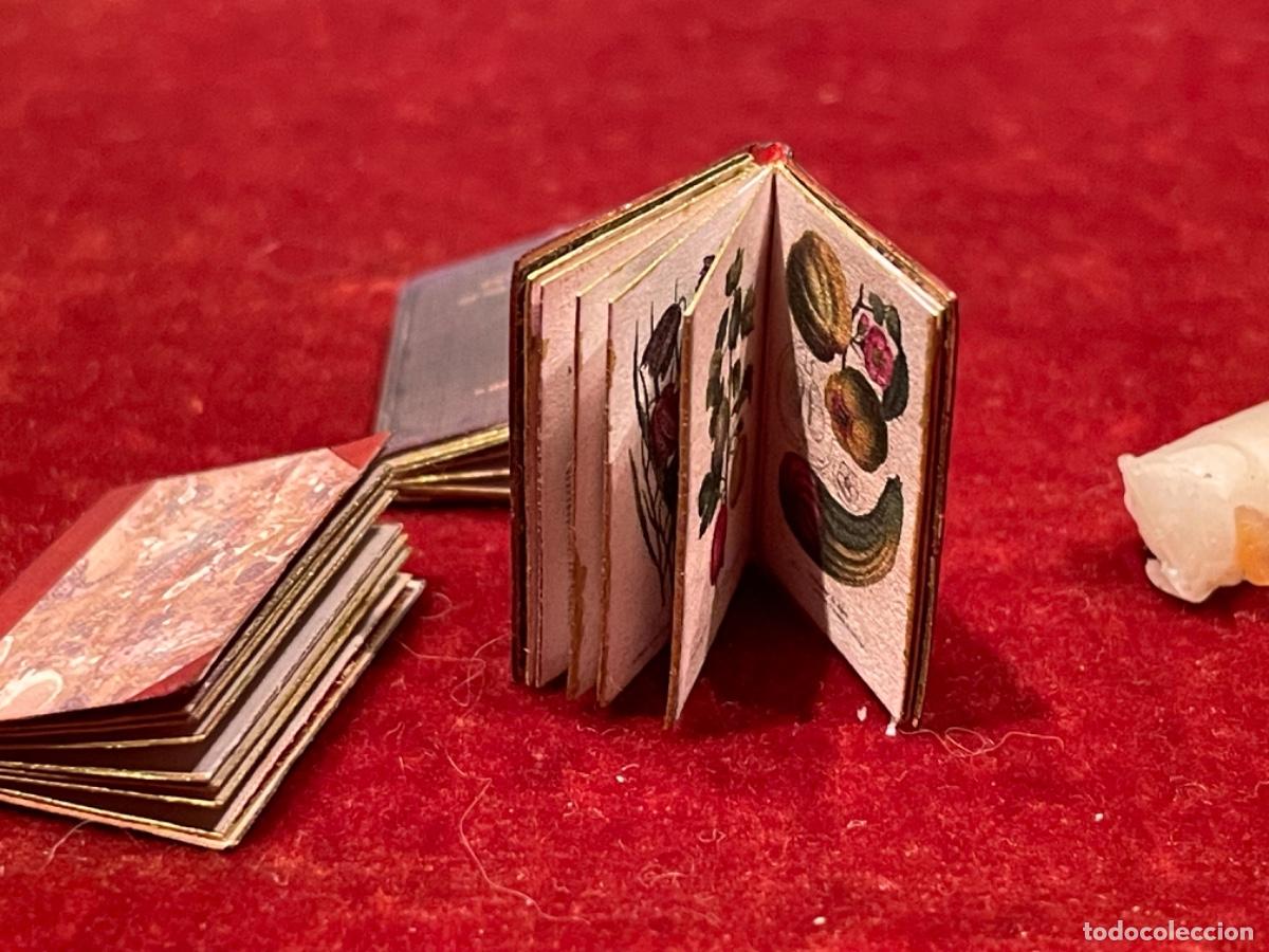 Casas de mu&ntilde;ecas: Tres libros de bot&aacute;nica en miniatura - Foto 10