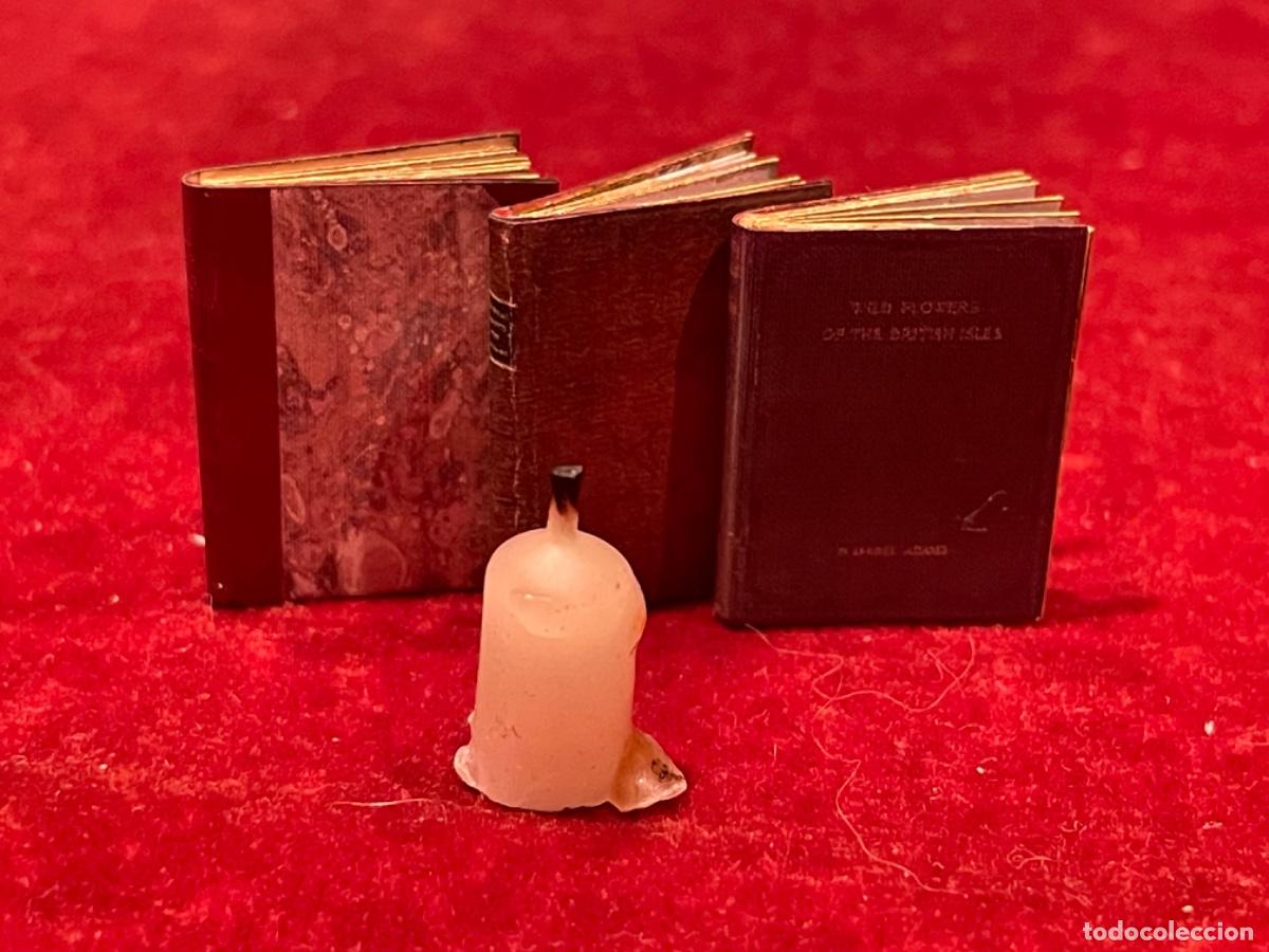 Casas de mu&ntilde;ecas: Tres libros de bot&aacute;nica en miniatura - Foto 11