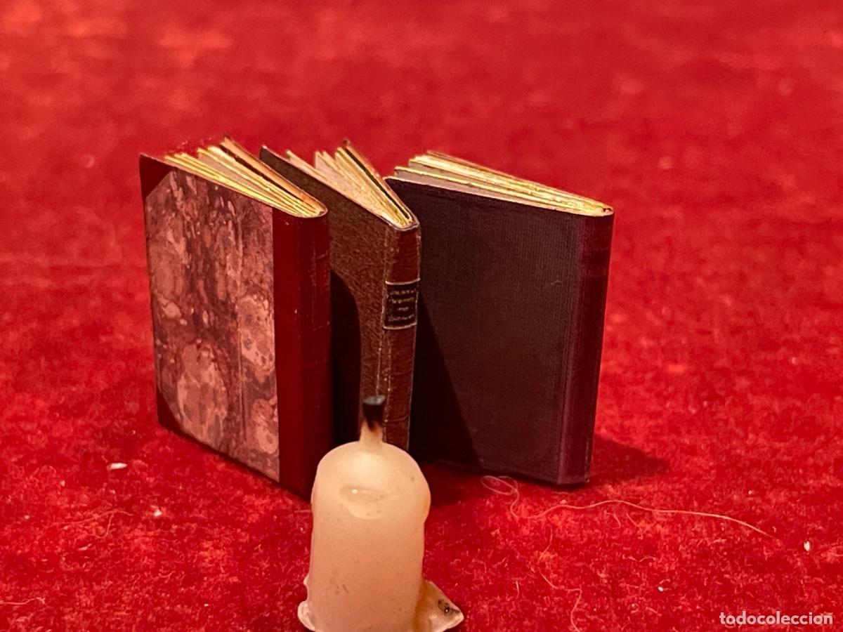 Casas de mu&ntilde;ecas: Tres libros de bot&aacute;nica en miniatura - Foto 13