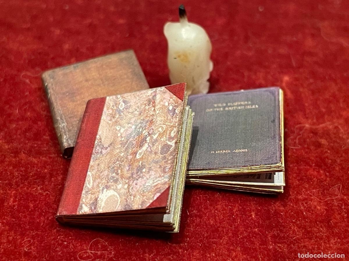 Casas de mu&ntilde;ecas: Tres libros de bot&aacute;nica en miniatura - Foto 1