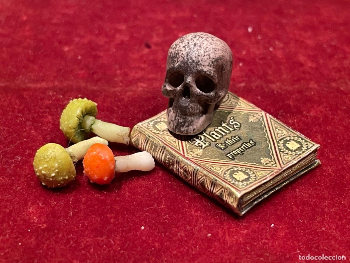 Casas de mu&ntilde;ecas: Libro de bot&aacute;nica con calavera y setas venenosas en miniatura - Foto 1