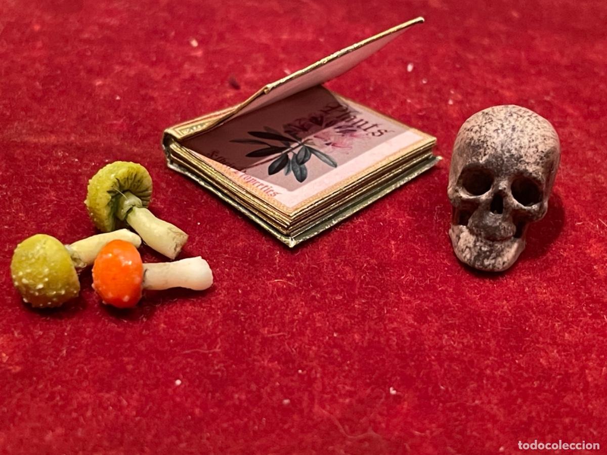 Casas de mu&ntilde;ecas: Libro de bot&aacute;nica con calavera y setas venenosas en miniatura - Foto 2