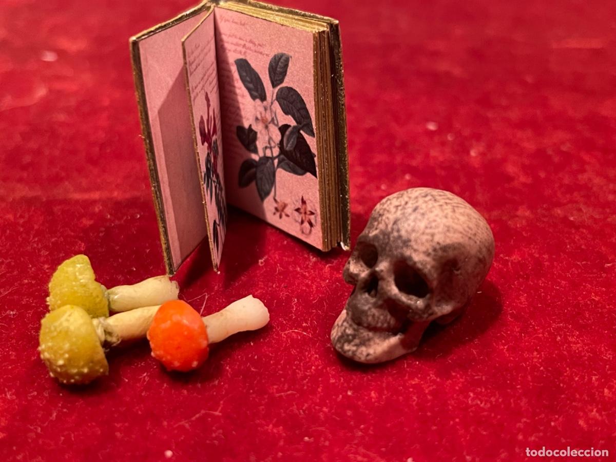 Casas de mu&ntilde;ecas: Libro de bot&aacute;nica con calavera y setas venenosas en miniatura - Foto 3