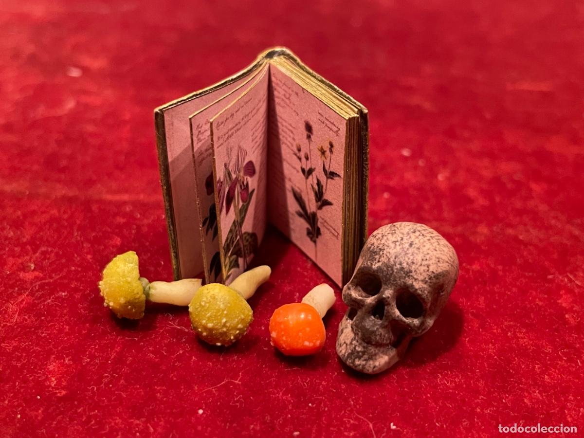 Casas de mu&ntilde;ecas: Libro de bot&aacute;nica con calavera y setas venenosas en miniatura - Foto 4