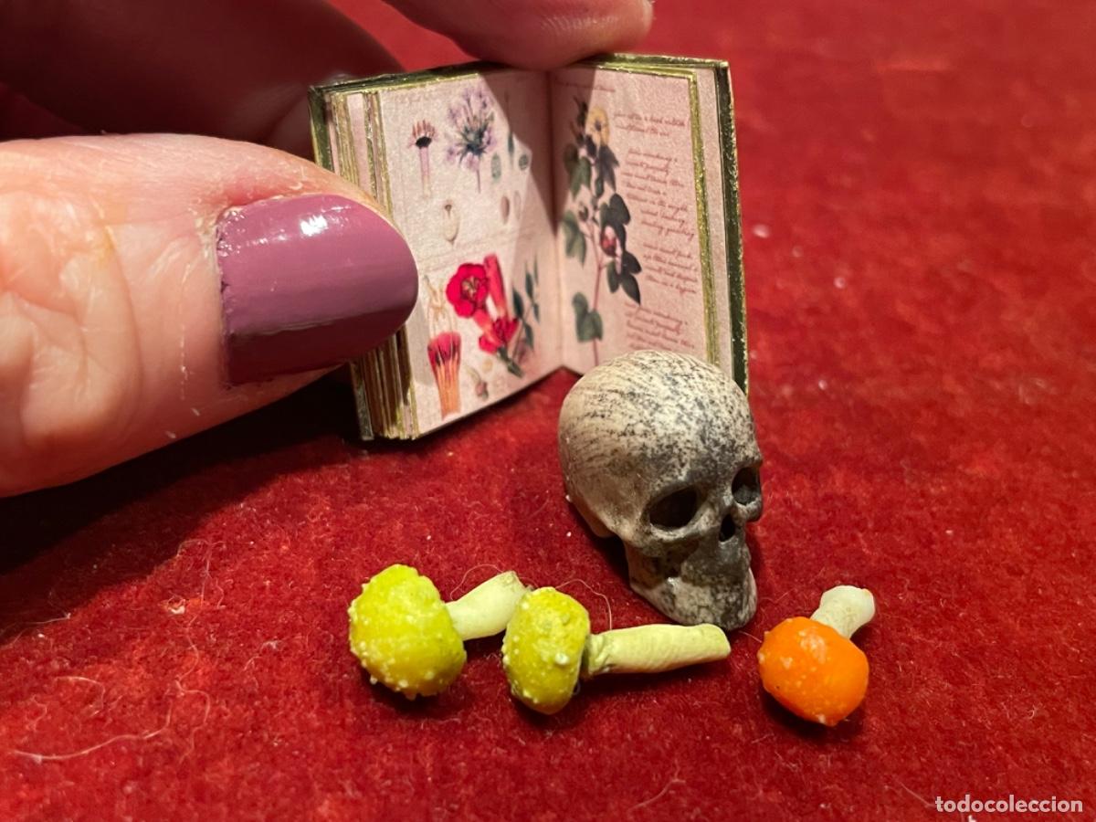 Casas de mu&ntilde;ecas: Libro de bot&aacute;nica con calavera y setas venenosas en miniatura - Foto 5