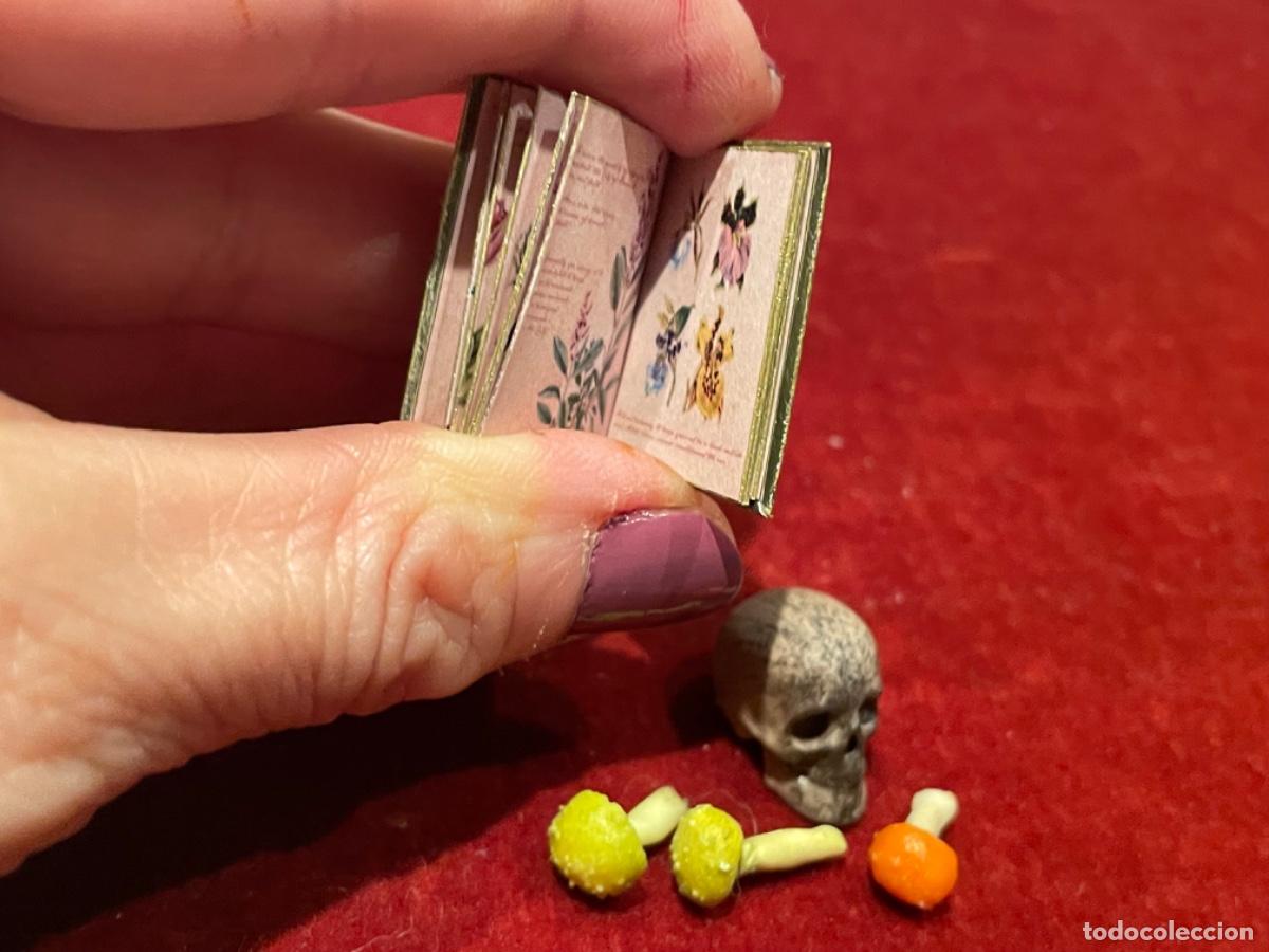 Casas de mu&ntilde;ecas: Libro de bot&aacute;nica con calavera y setas venenosas en miniatura - Foto 6