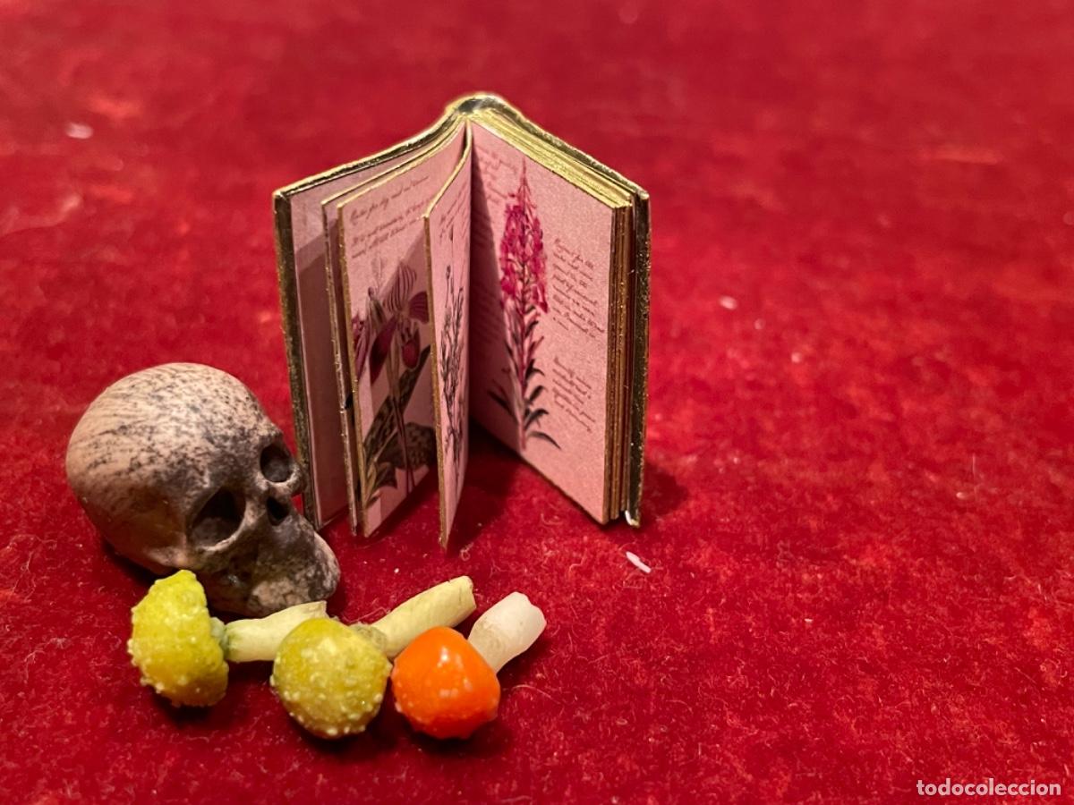 Casas de mu&ntilde;ecas: Libro de bot&aacute;nica con calavera y setas venenosas en miniatura - Foto 7