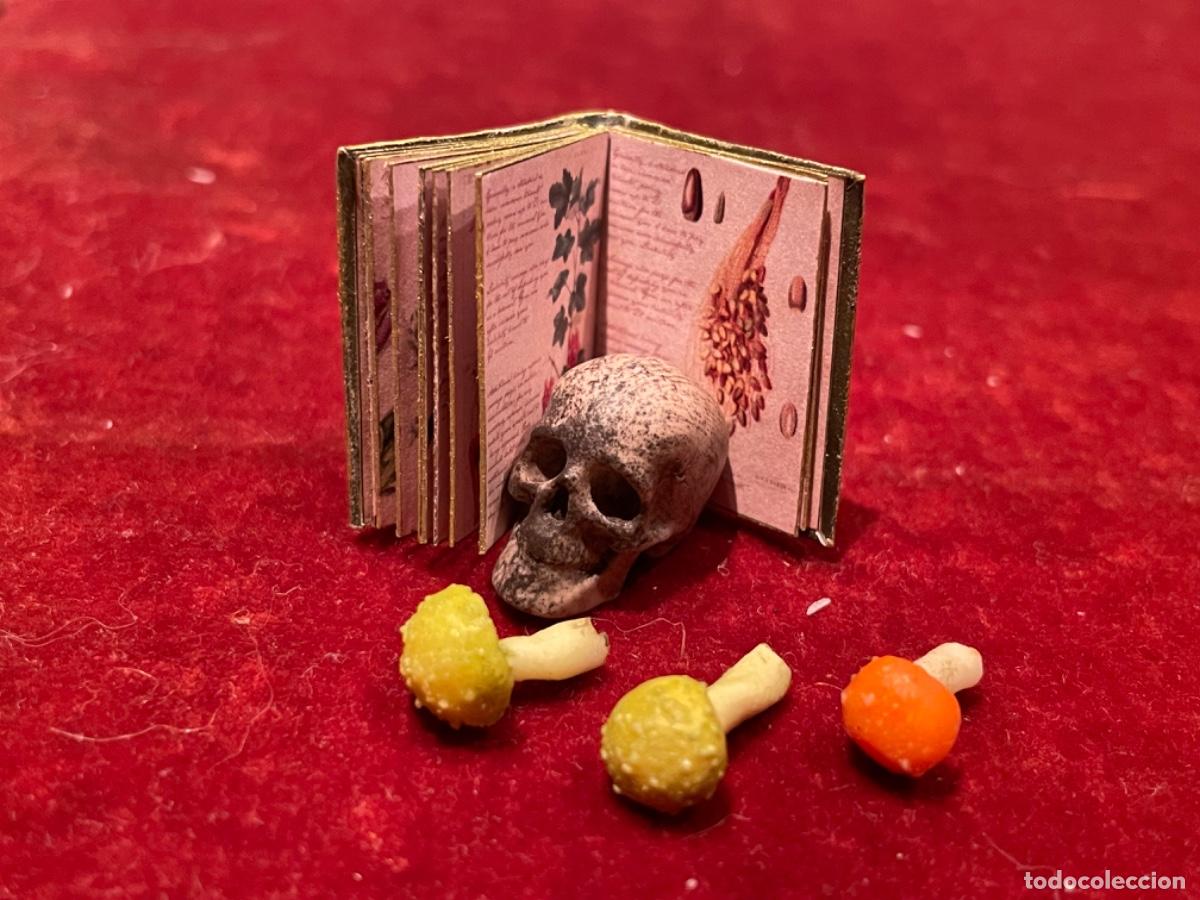 Casas de mu&ntilde;ecas: Libro de bot&aacute;nica con calavera y setas venenosas en miniatura - Foto 8
