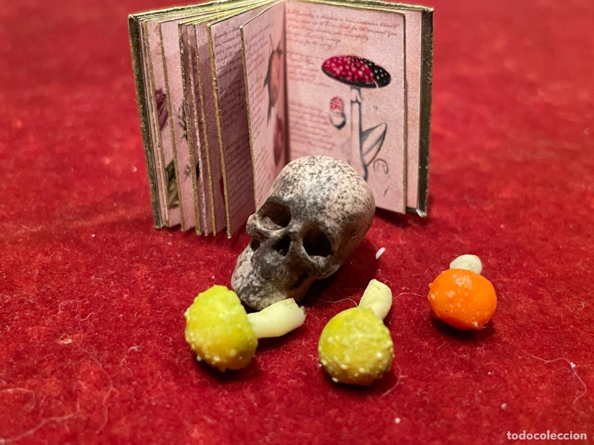 Casas de mu&ntilde;ecas: Libro de bot&aacute;nica con calavera y setas venenosas en miniatura - Foto 9