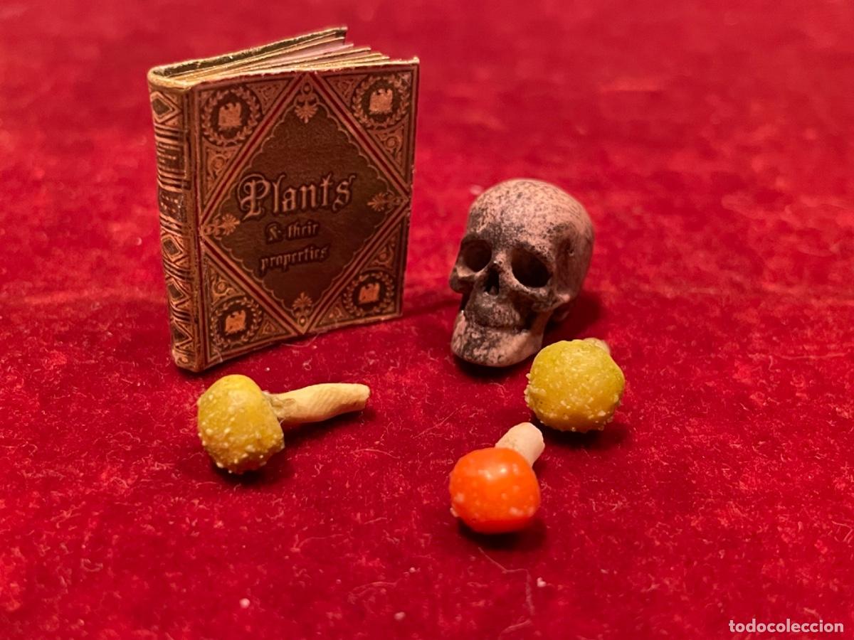 Casas de mu&ntilde;ecas: Libro de bot&aacute;nica con calavera y setas venenosas en miniatura - Foto 10