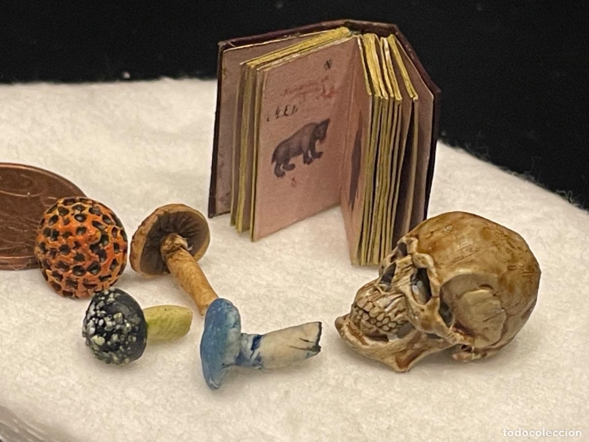 Casas de mu&ntilde;ecas: Calavera con setas venenosas y libro en miniatura - Foto 1