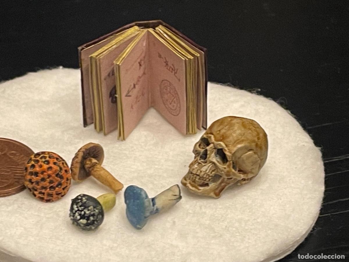 Casas de mu&ntilde;ecas: Calavera con setas venenosas y libro en miniatura - Foto 2
